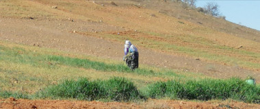 1595842
