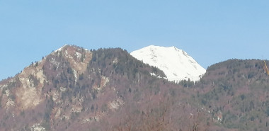 1622847